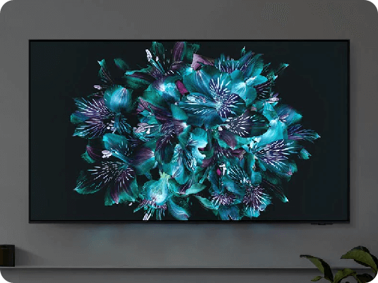 画面中的2024款三星OLED电视在其画面中精准还原了一朵精致的花朵。